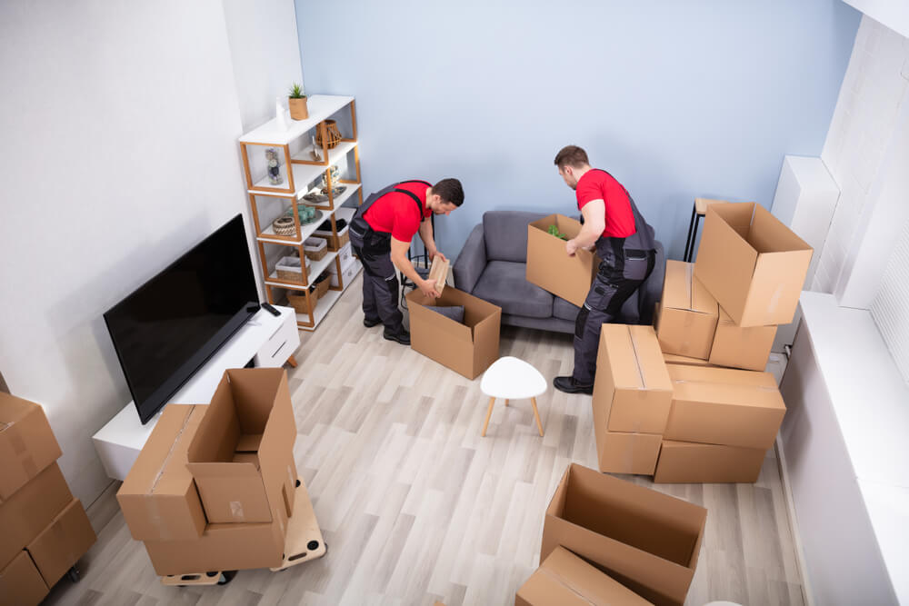 Available Movers Jackson Heights